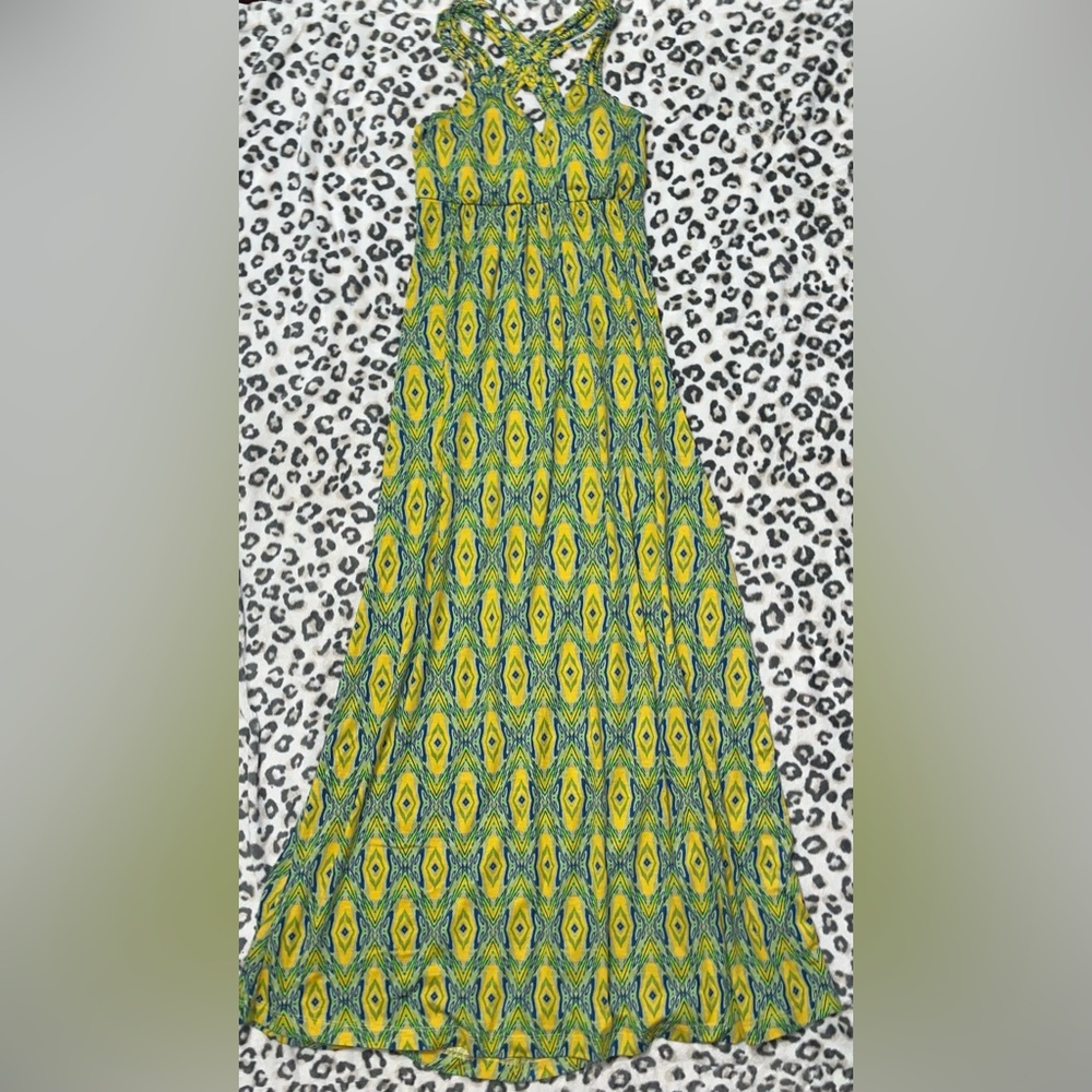 Vintage Pink Rose Vibrant Yellow and Green Maxi Dress